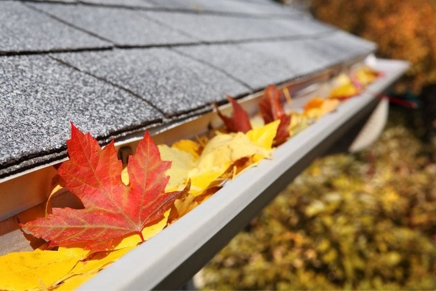 Can Clogged Gutters Cause a Roof Leak? Understanding the Impact on Your Home