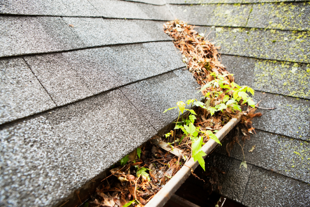 The Essential Guide to Replacing Your Gutters: What Homeowners Need to Know